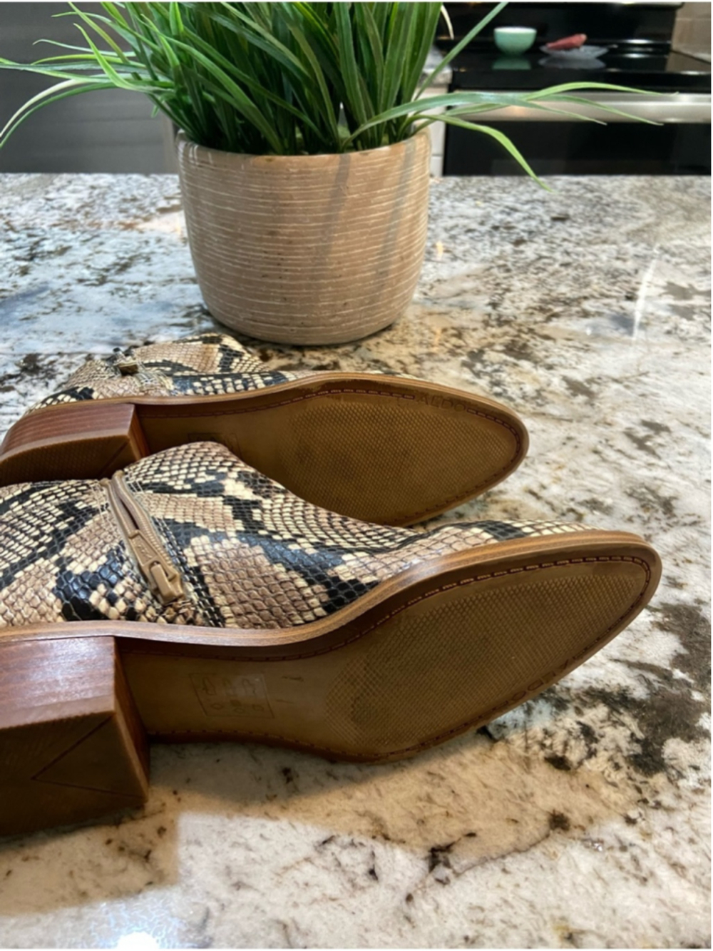 Aldo Snake-Print Ankle Boots in Neutral Tones - Picture 5 of 6